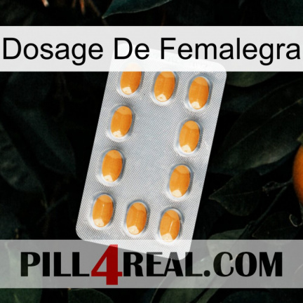 Femalegra Dosage cialis3